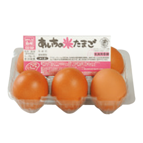 あいちの米たまご（6個・10個）