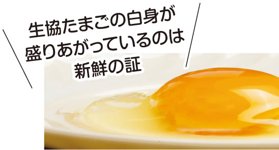 生協のたまご