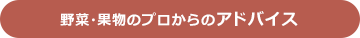 野菜・果物のプロからのアドバイス